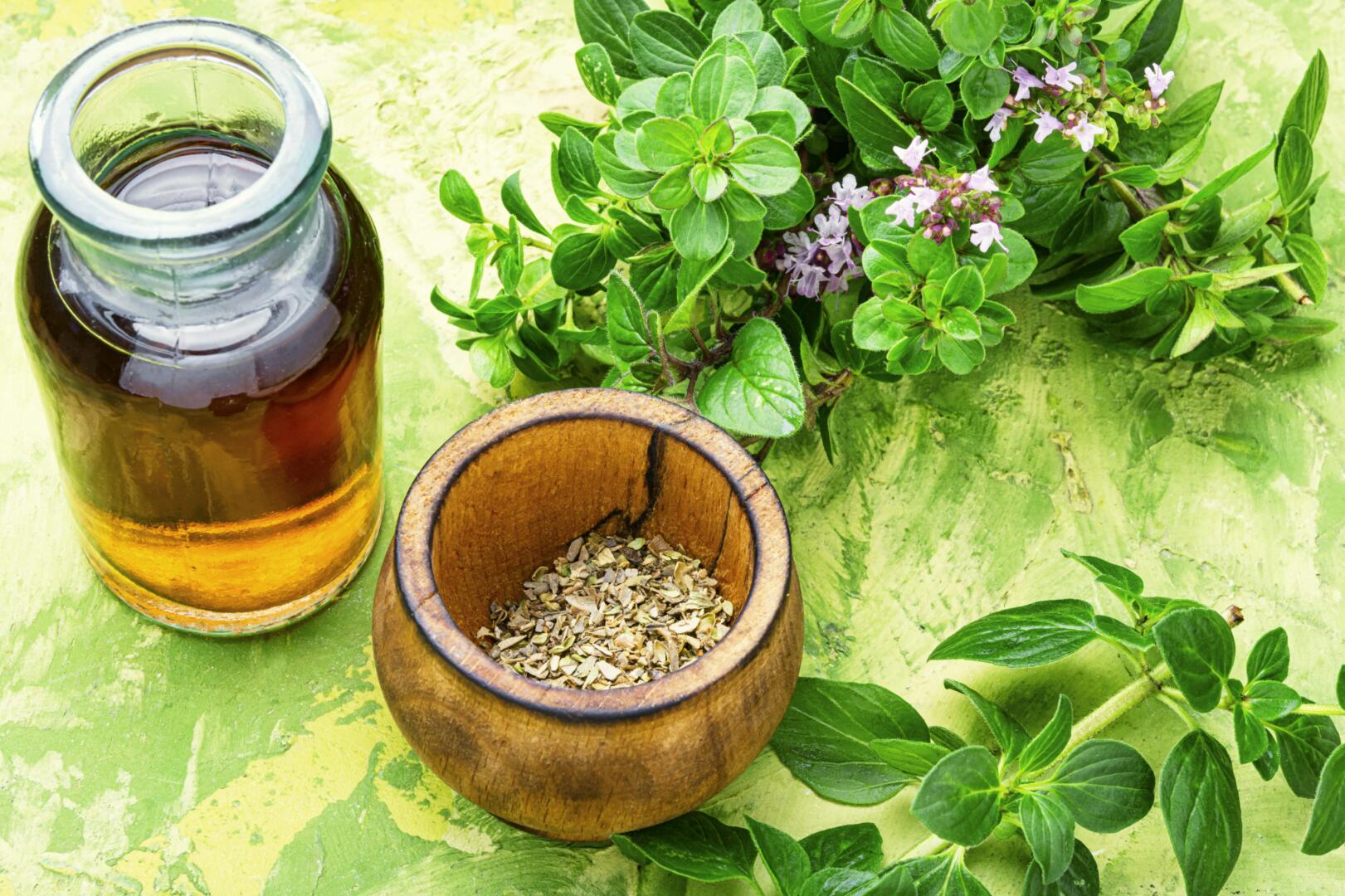 health-benefits-and-side-effects-of-oil-of-oregano