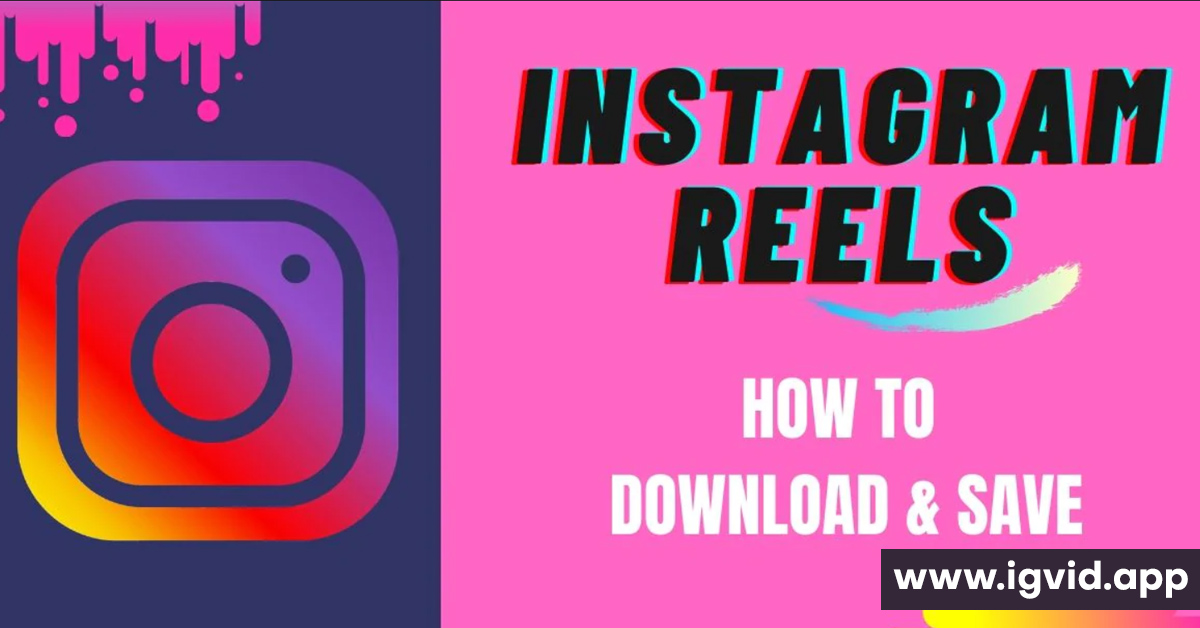 Instagram Download Video Free